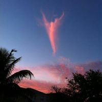 Janet Pacheco Photo 8