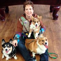 Teresa Bosch Photo 3