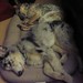 Rose Fletcher Photo 34
