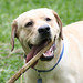 Wilson Tucker Photo 21