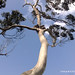 Victoria Witt Photo 41