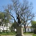 Manuel Palacio Photo 35