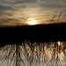 Anthony Green Photo 47