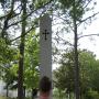 Jason Dillingham Photo 14