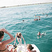Nina Marks Photo 32