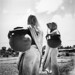 Cecil Wells Photo 31