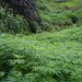 Marie Land Photo 23