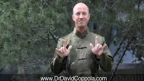 David Coppola Photo 28