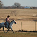 Jody Carlson Photo 40