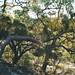 Glen Bush Photo 29
