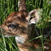 Joe Seymour Photo 43
