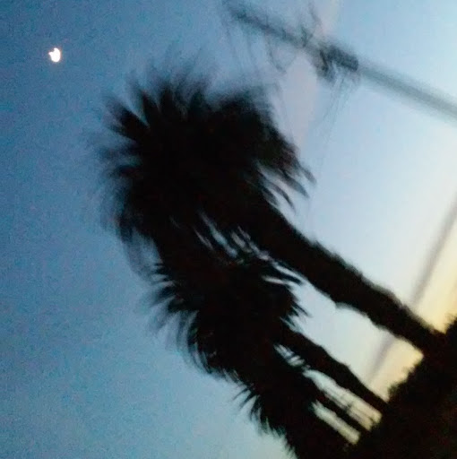 Adalberto Garcia Photo 16