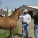 Duane Hogan Photo 16