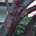 Lucille Red Photo 12