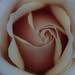 Rose Steen Photo 21