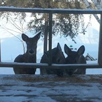 Mary Beacham Photo 2
