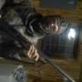 Gregory Quick Photo 21