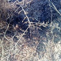 John Stiffler Photo 7