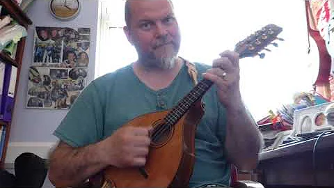 Peter Hardiman Photo 8