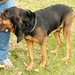 Rufus Bailey Photo 18