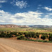 Wayne Burr Photo 33