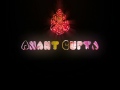 Anant Gupta Photo 38