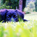 Eddie Coats Photo 22