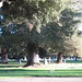 Elyse Hill Photo 28