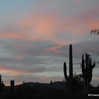 Linda Powers Photo 7