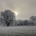 Mark Farnham Photo 36