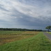 Buford Hill Photo 17
