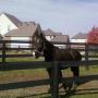 Paula Garrison Photo 24