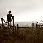 Dale Mccarthy Photo 14