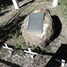 Willie Packer Photo 20