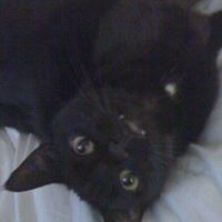 Kitty Yates Photo 1