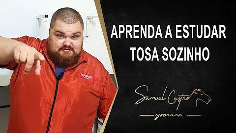 Samuel Castro Photo 40