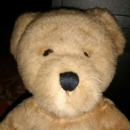 Paul Cassidy Photo 12