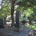George Mcvay Photo 19
