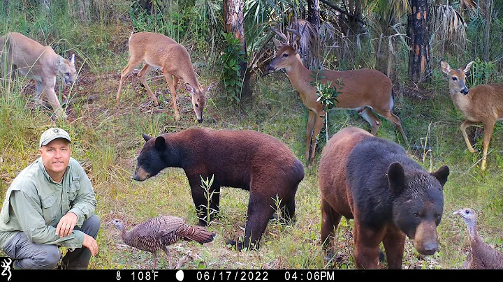 Tim Harrell Photo 33