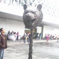Herman Vega Photo 6