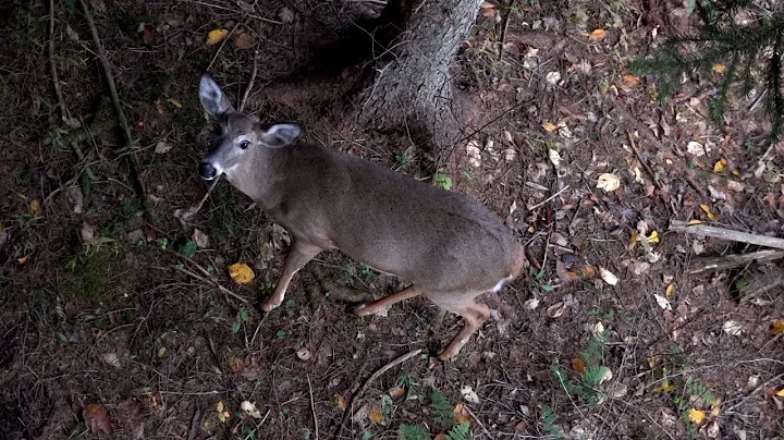 John Leatherwood Photo 33