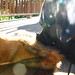 Molly Meredith Photo 24