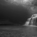 Jeff Bankhead Photo 16