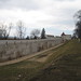 Tara Walls Photo 38