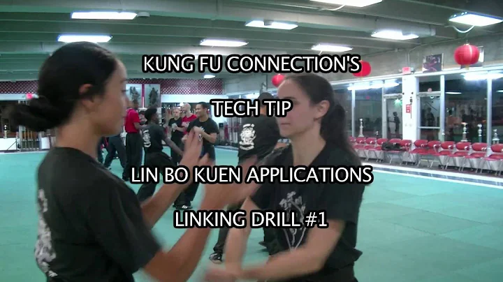 Lin Bo Photo 19