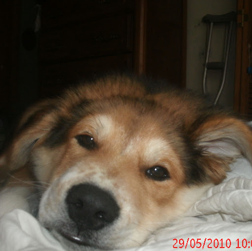 Leif Erickson Photo 17