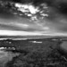 Harold Hayward Photo 25