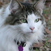 Donna Coon Photo 33