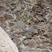 Andy Cross Photo 39