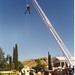 David Tapscott Photo 28
